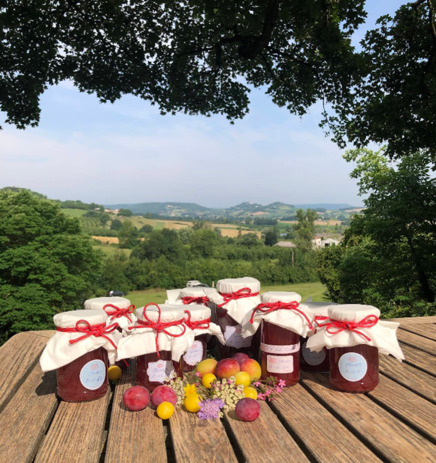  à vendre propriété Valeilles Tarn-et-Garonne 20