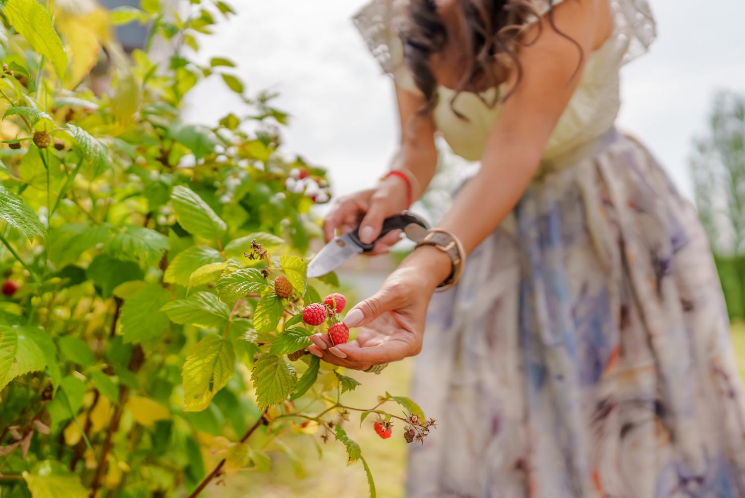  à vendre villa Langon Loir-et-Cher 37