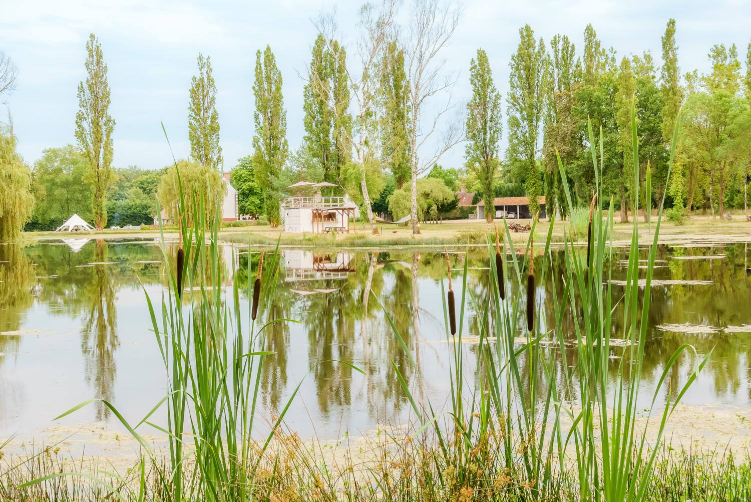  à vendre villa Langon Loir-et-Cher 34