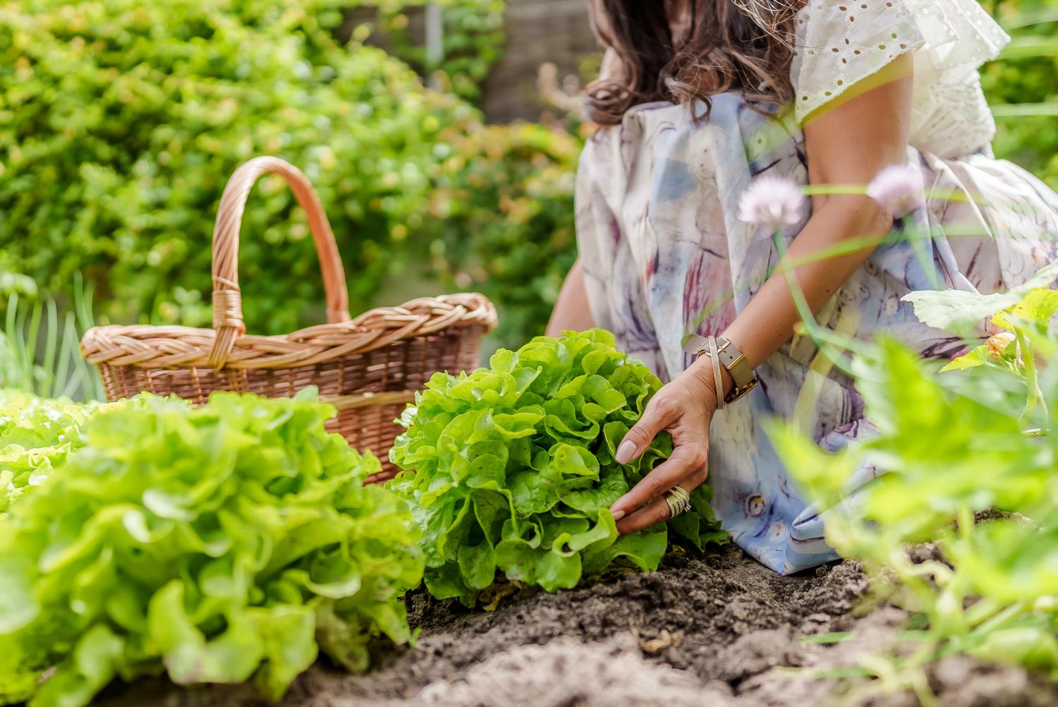  à vendre villa Langon Loir-et-Cher 38