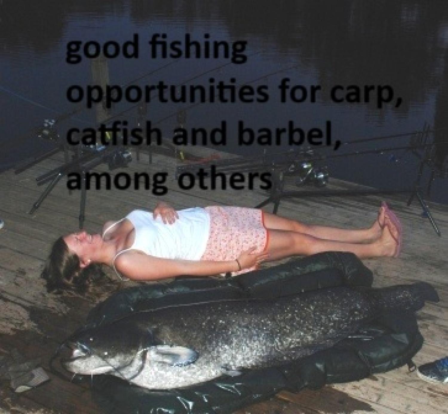  à vendre maison avec gîte Puy-l'Évêque Lot 36