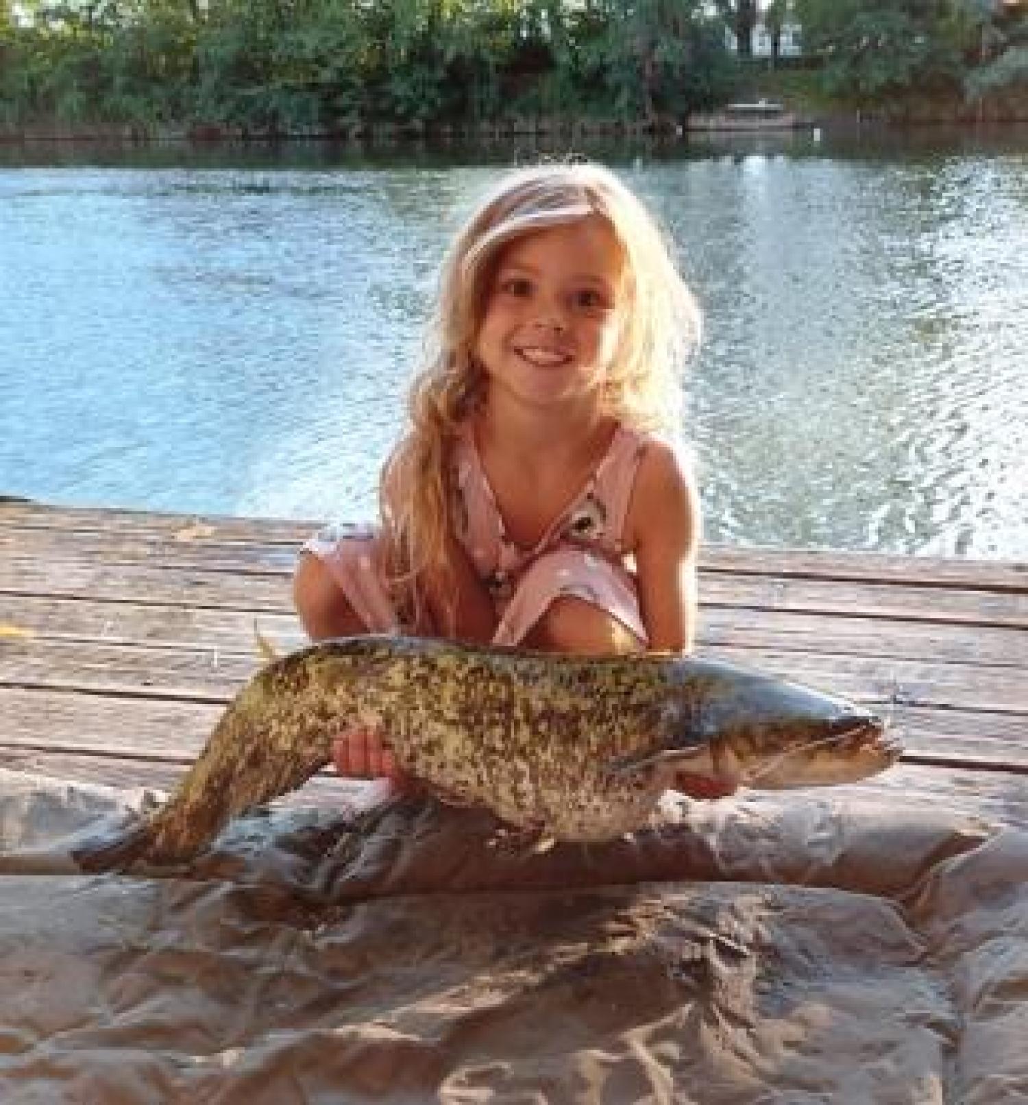  à vendre maison avec gîte Puy-l'Évêque Lot 35