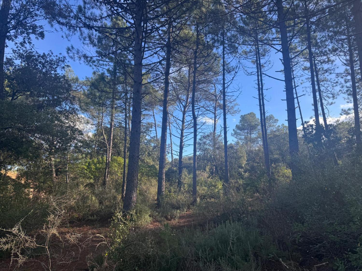  à vendre maison Bédarieux Hérault 28