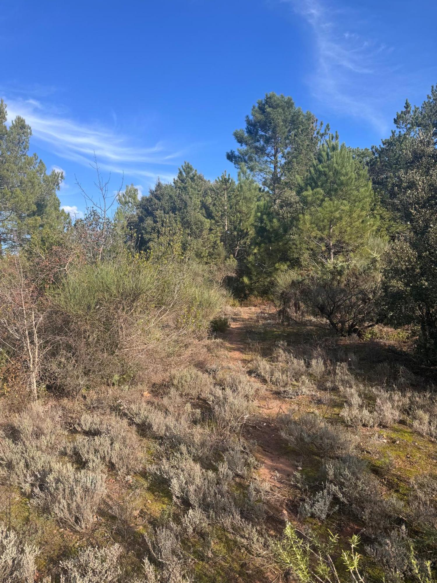  à vendre maison Bédarieux Hérault 30