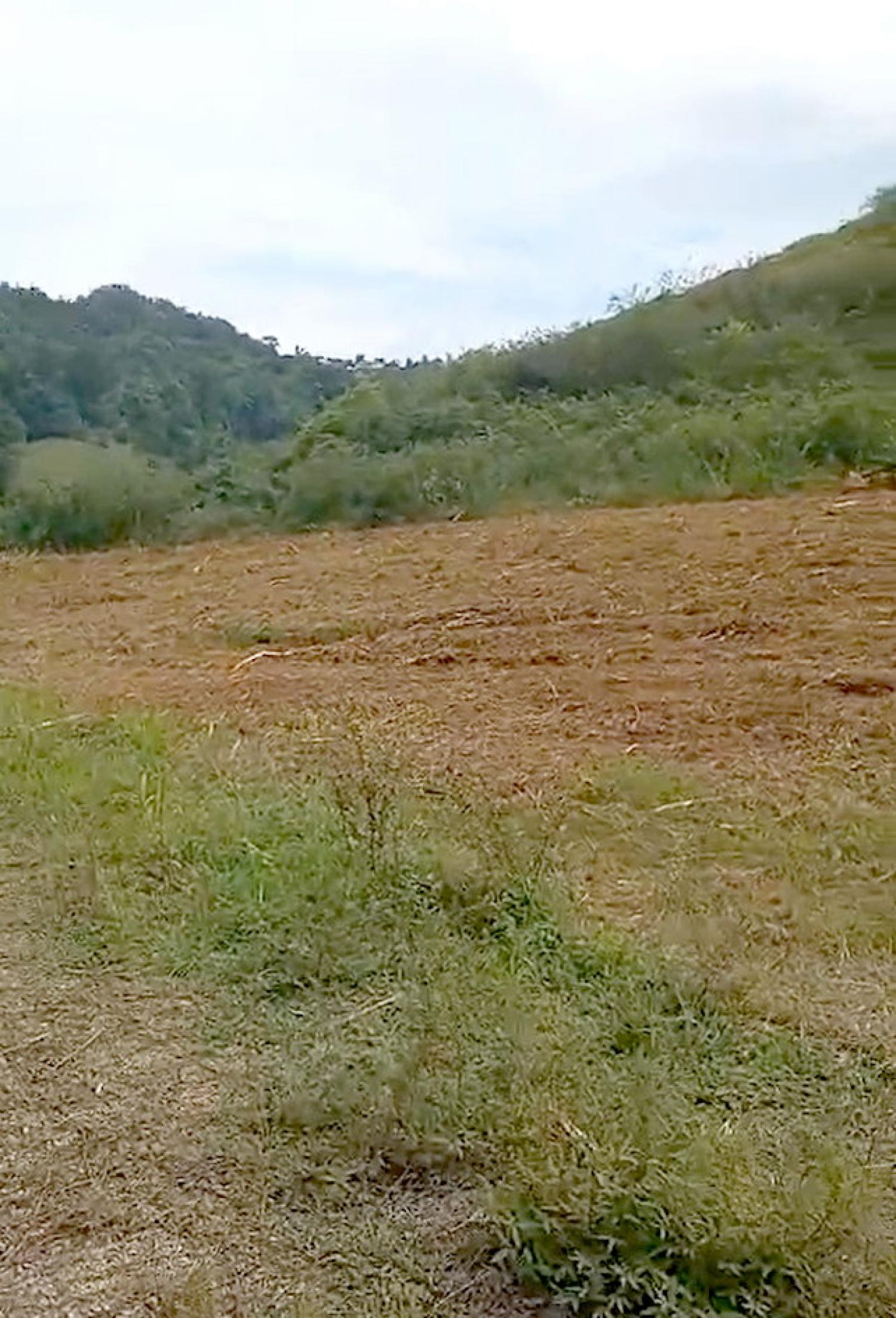  à vendre maison Le Robert Martinique 5