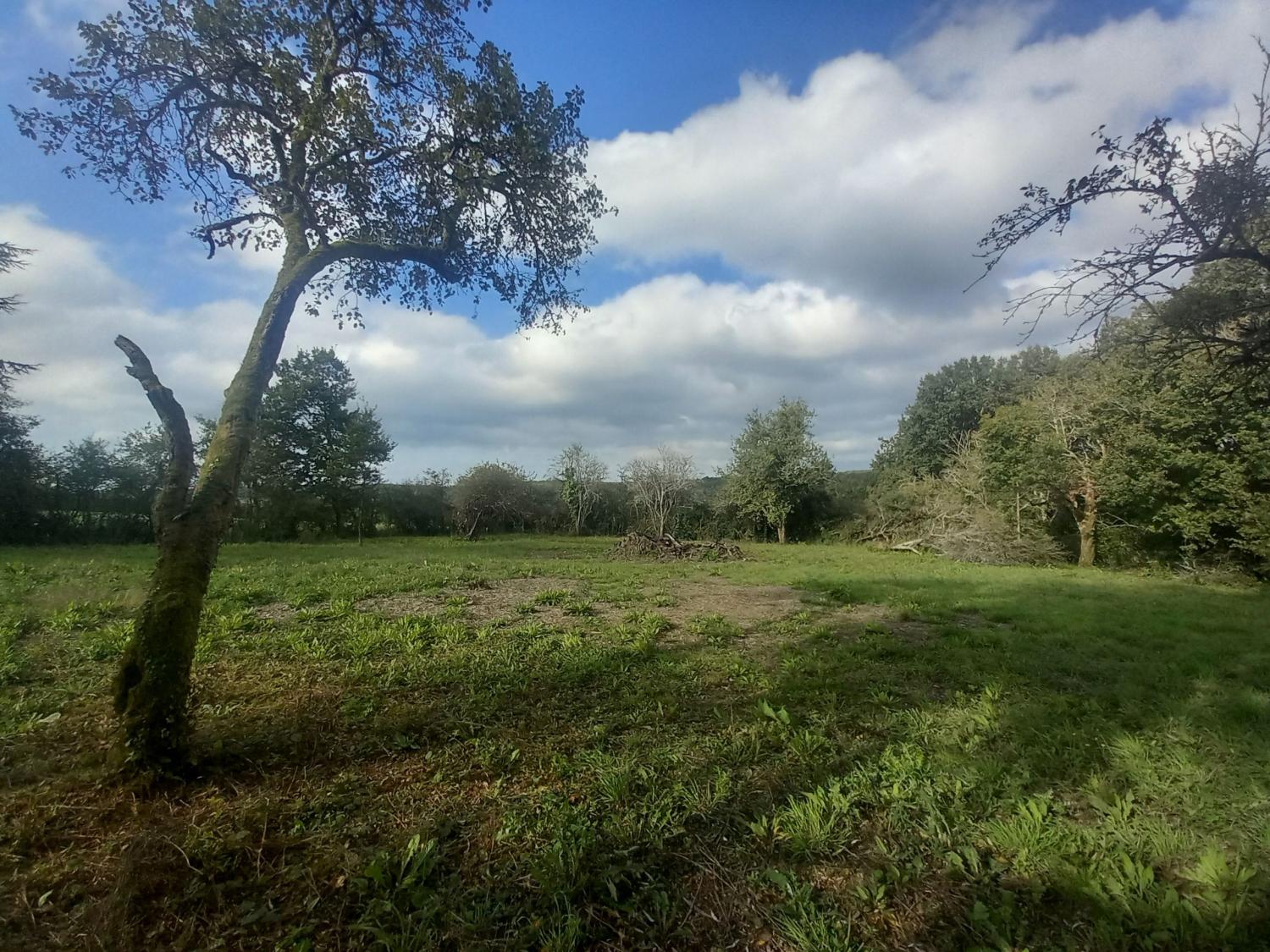  à vendre maison Moulins-Engilbert Nièvre 7