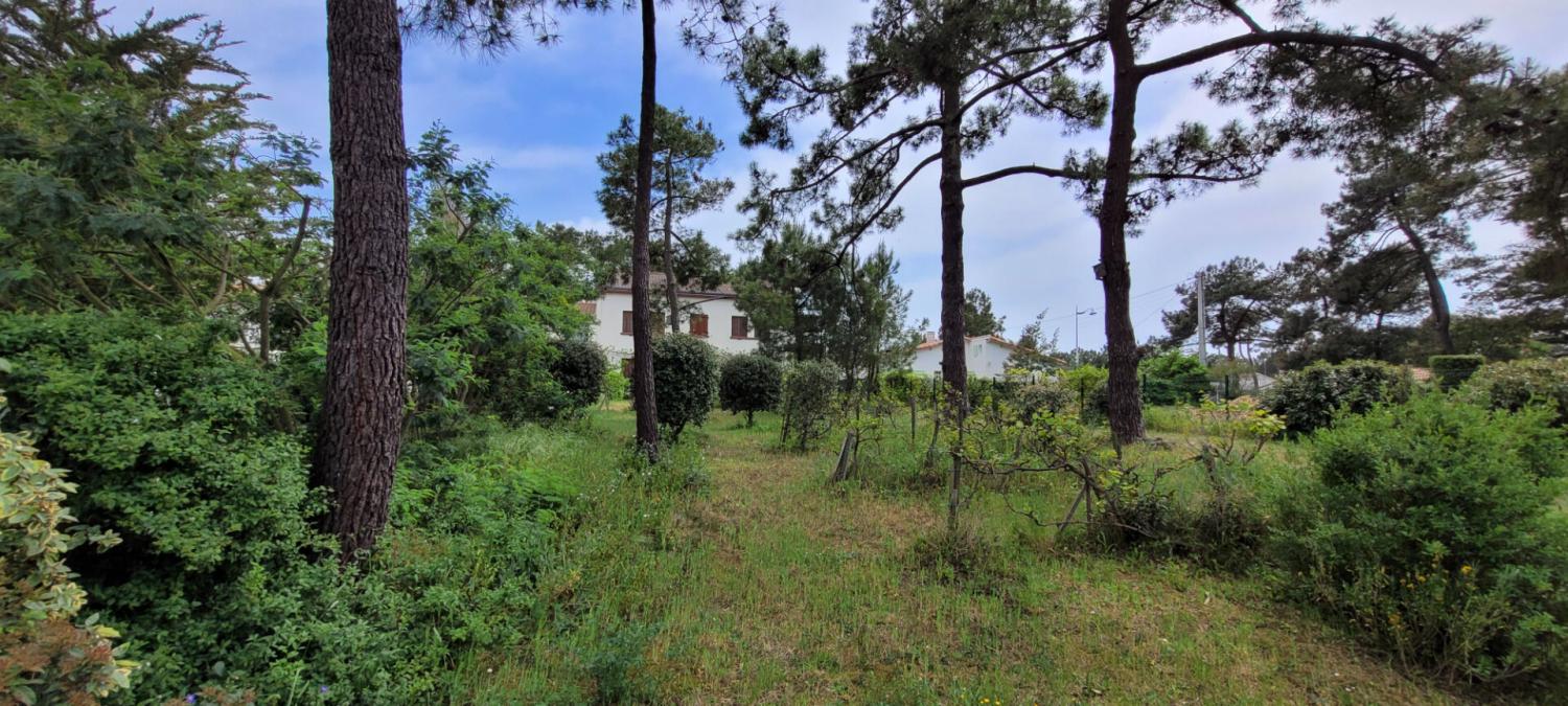  à vendre maison La Faute-sur-Mer Vendée 4