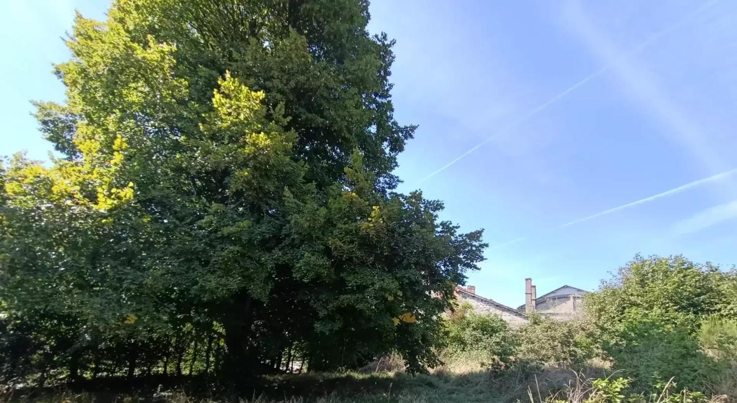  à vendre maison Saint-Maurice-près-Crocq Creuse 18