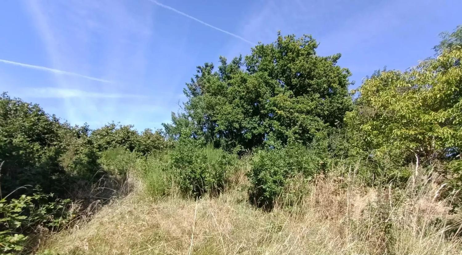  à vendre maison Saint-Maurice-près-Crocq Creuse 19