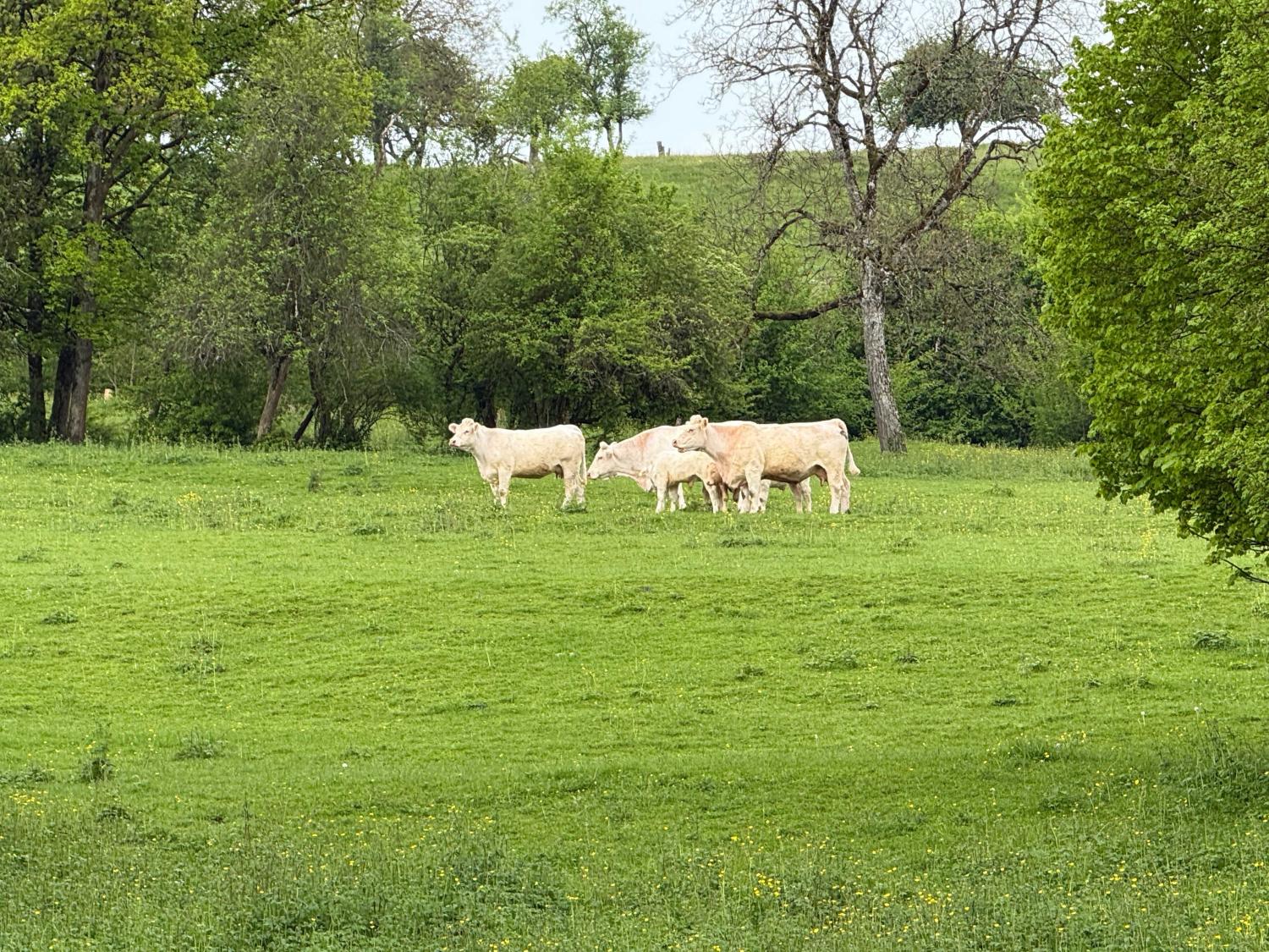 à vendre ferme de village Rosières-sur-Mance Haute-Saône 25