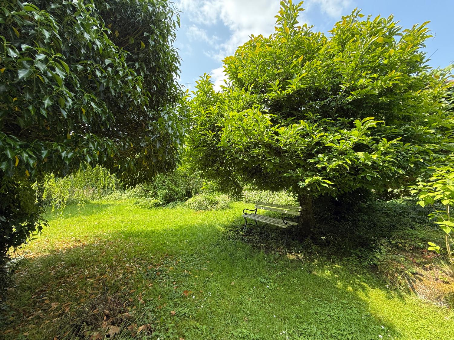  à vendre maison indépendant Hennezel Vosges 41