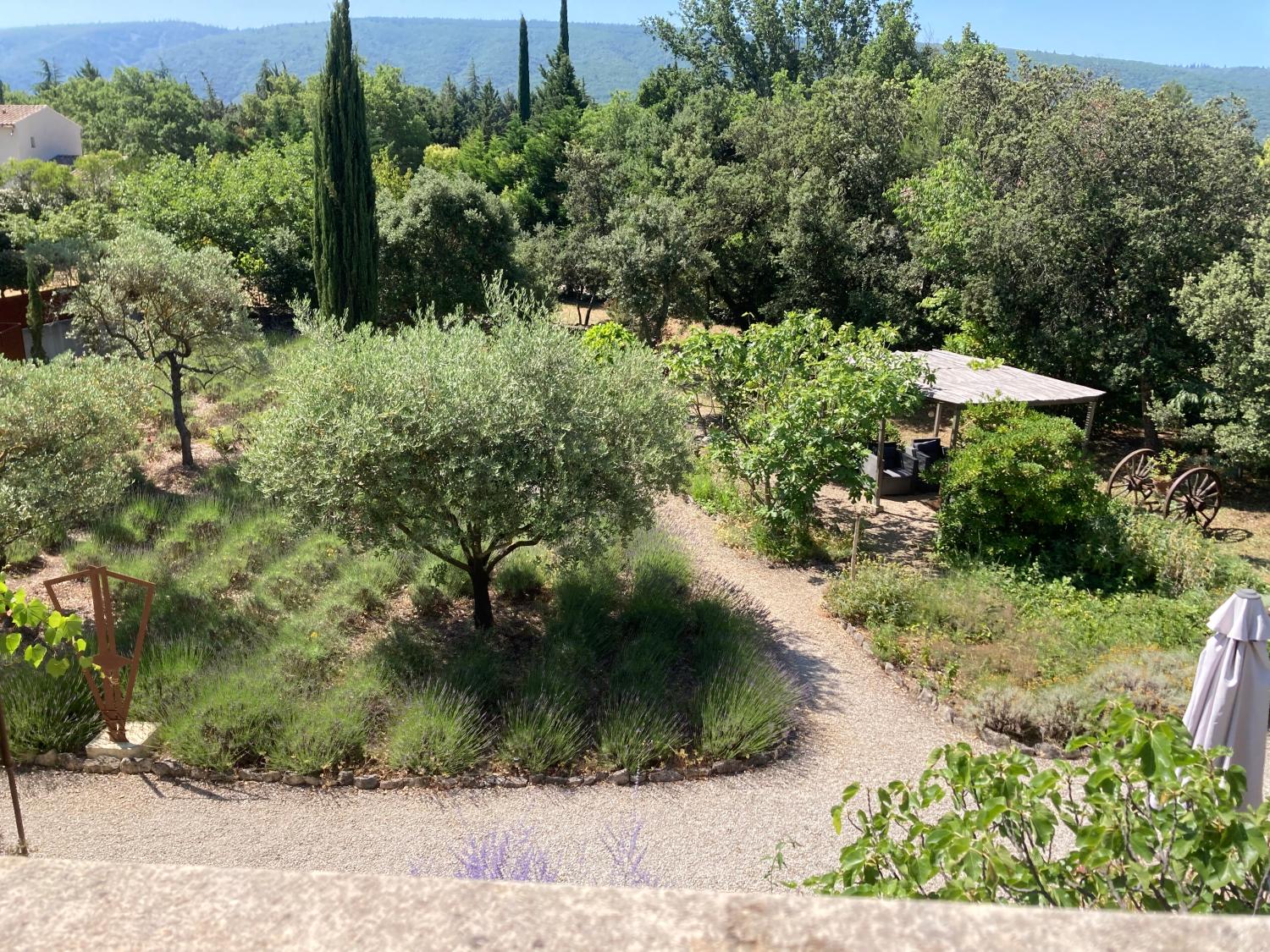  à vendre gîtes/ chambres d'hôtes Lacoste Vaucluse 18