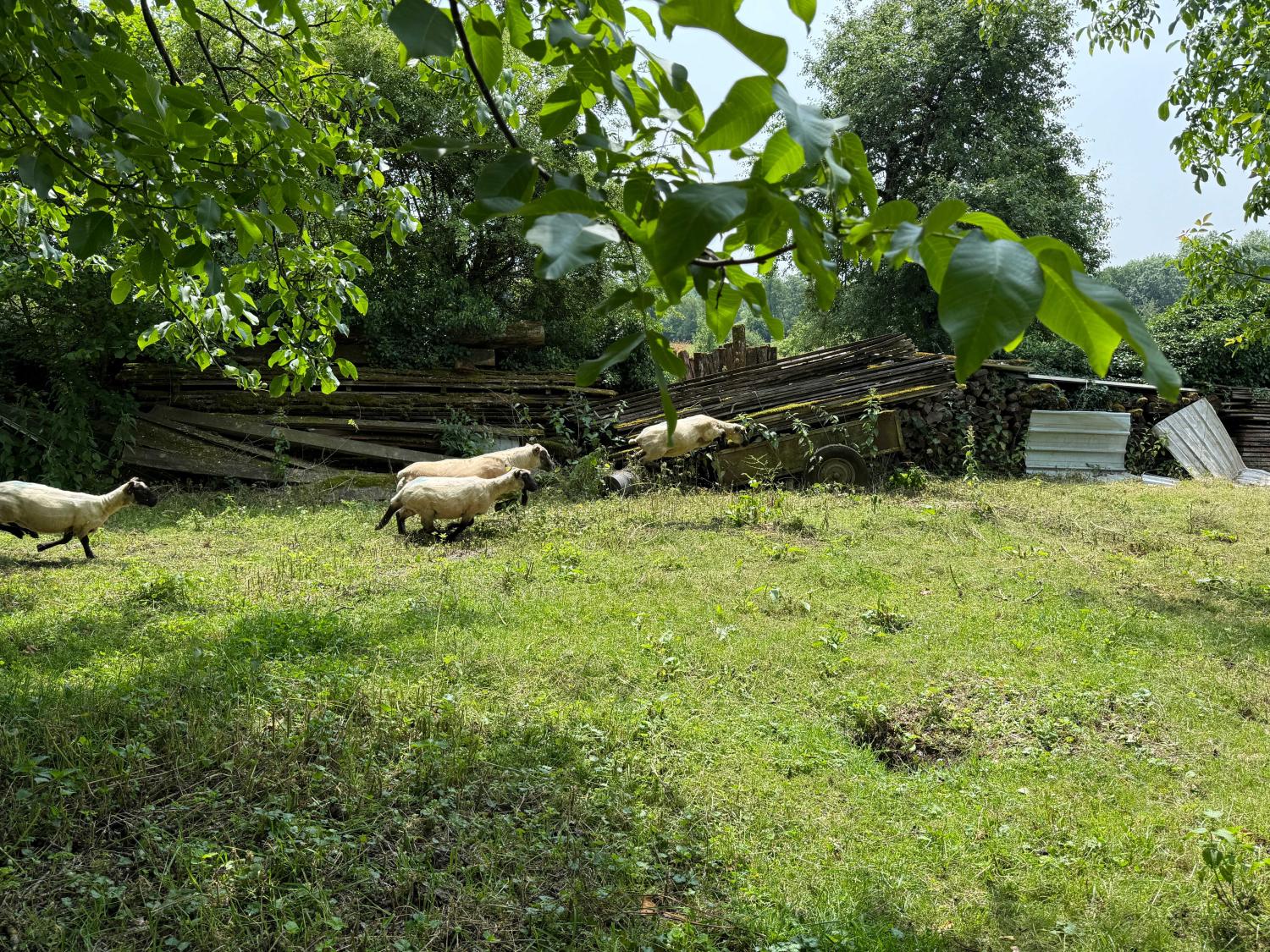 à vendre ferme de village Confracourt Haute-Saône 37