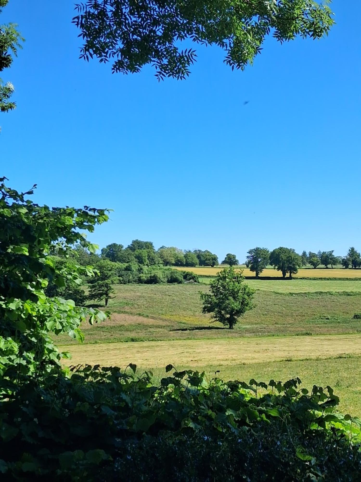  à vendre maison indépendant Préveranges Cher 40