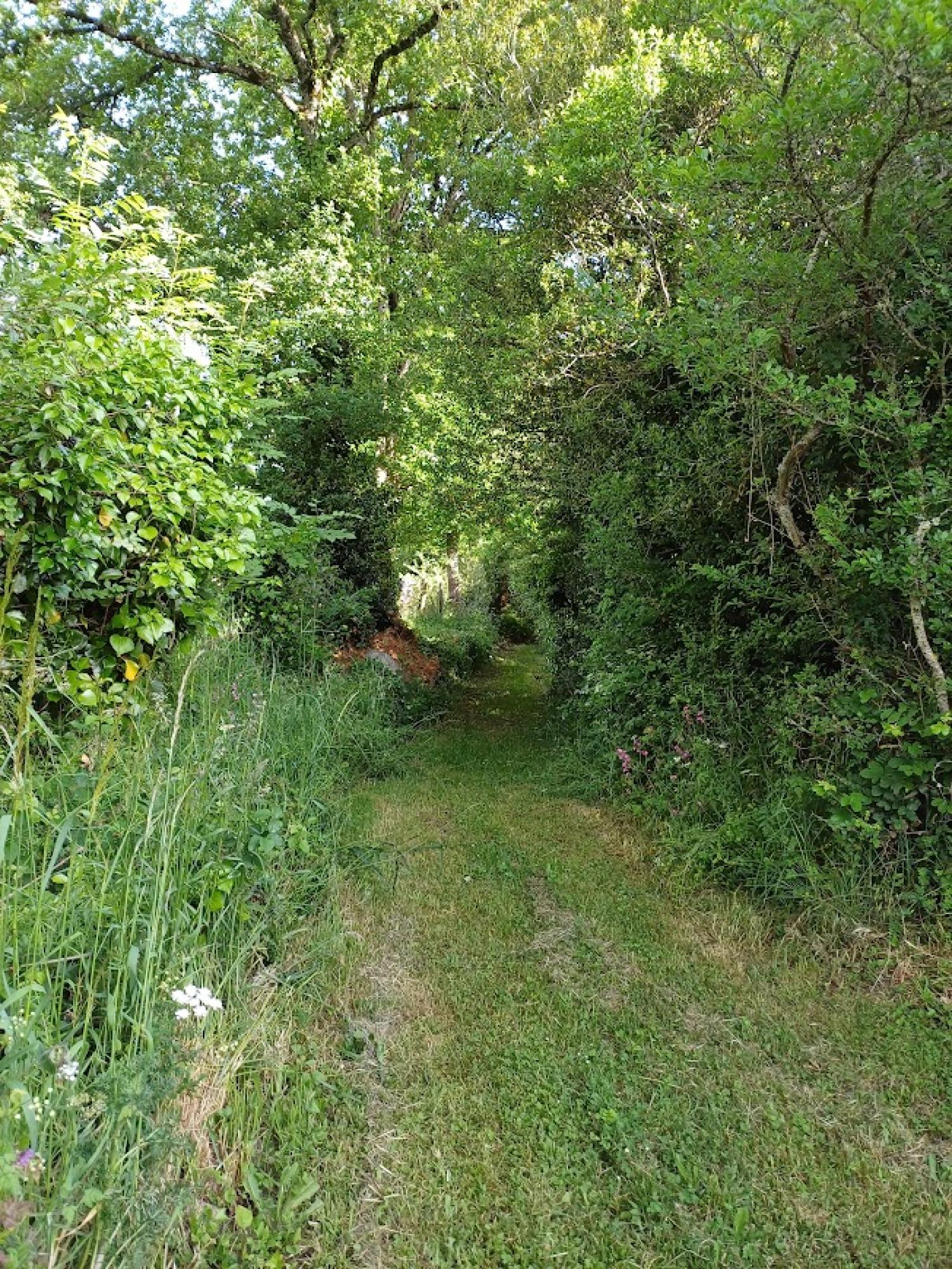  à vendre maison indépendant Chénérailles Creuse 4