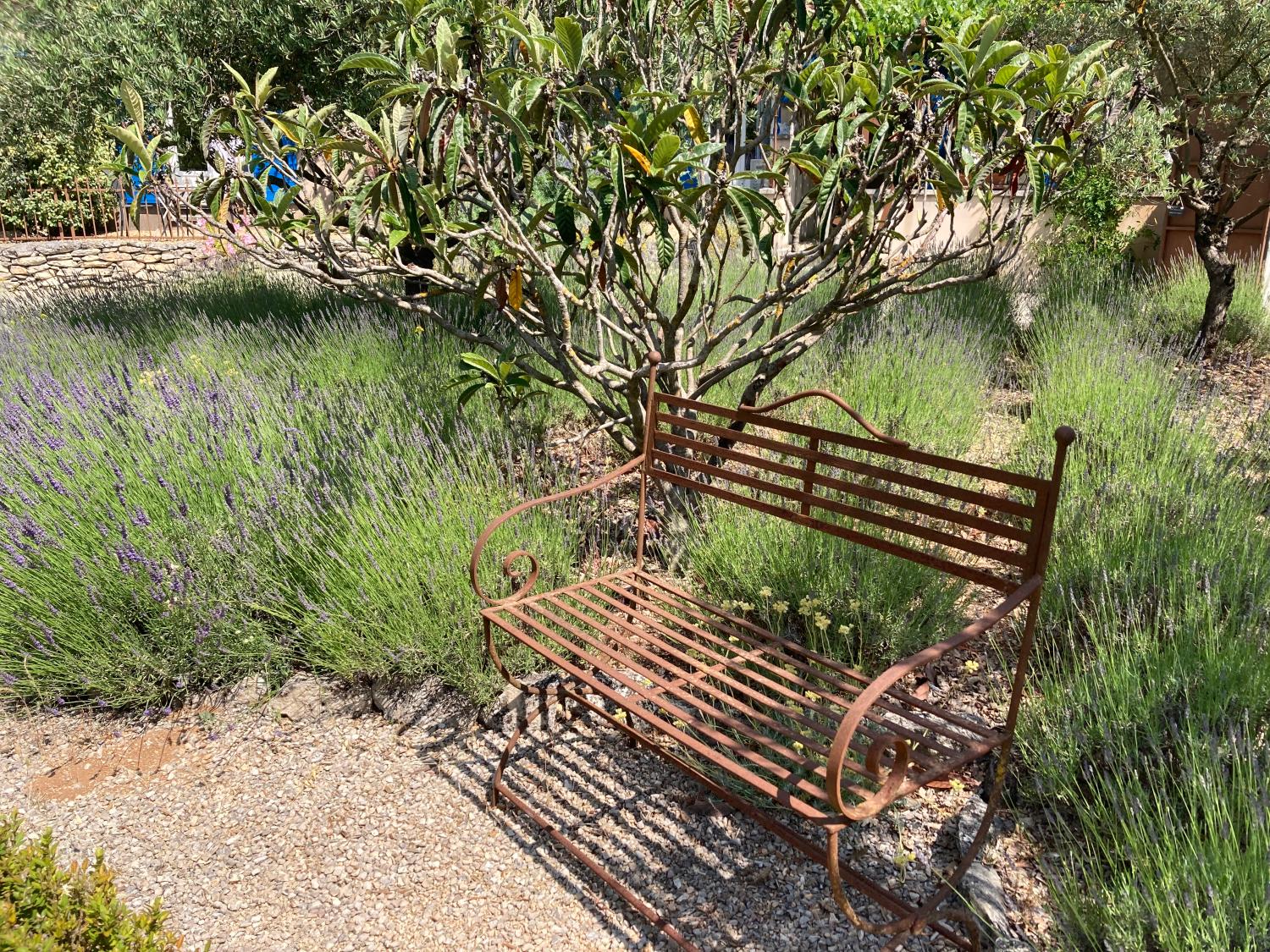  à vendre gîtes/ chambres d'hôtes Lacoste Vaucluse 16