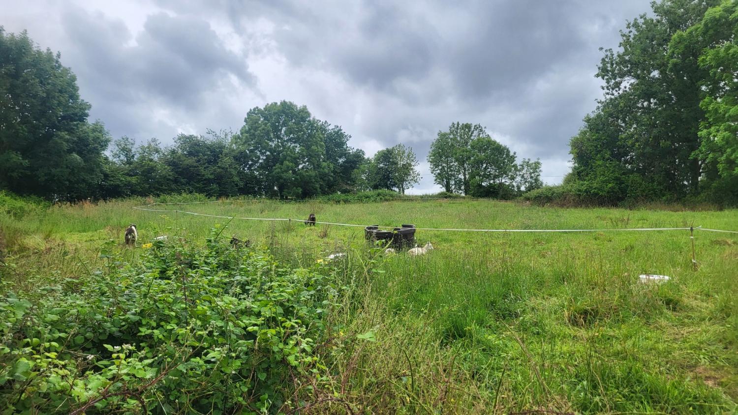  à vendre maison indépendant Tessy-sur-Vire Manche 24
