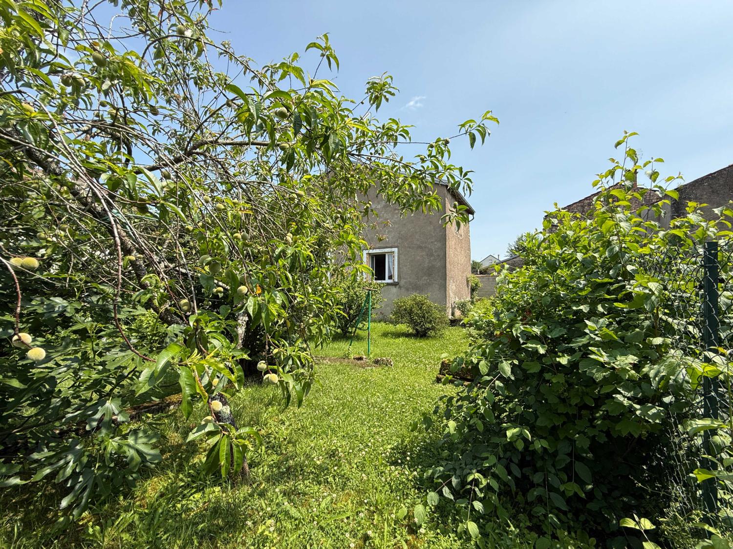  à vendre ferme de village Voisey Haute-Marne 47