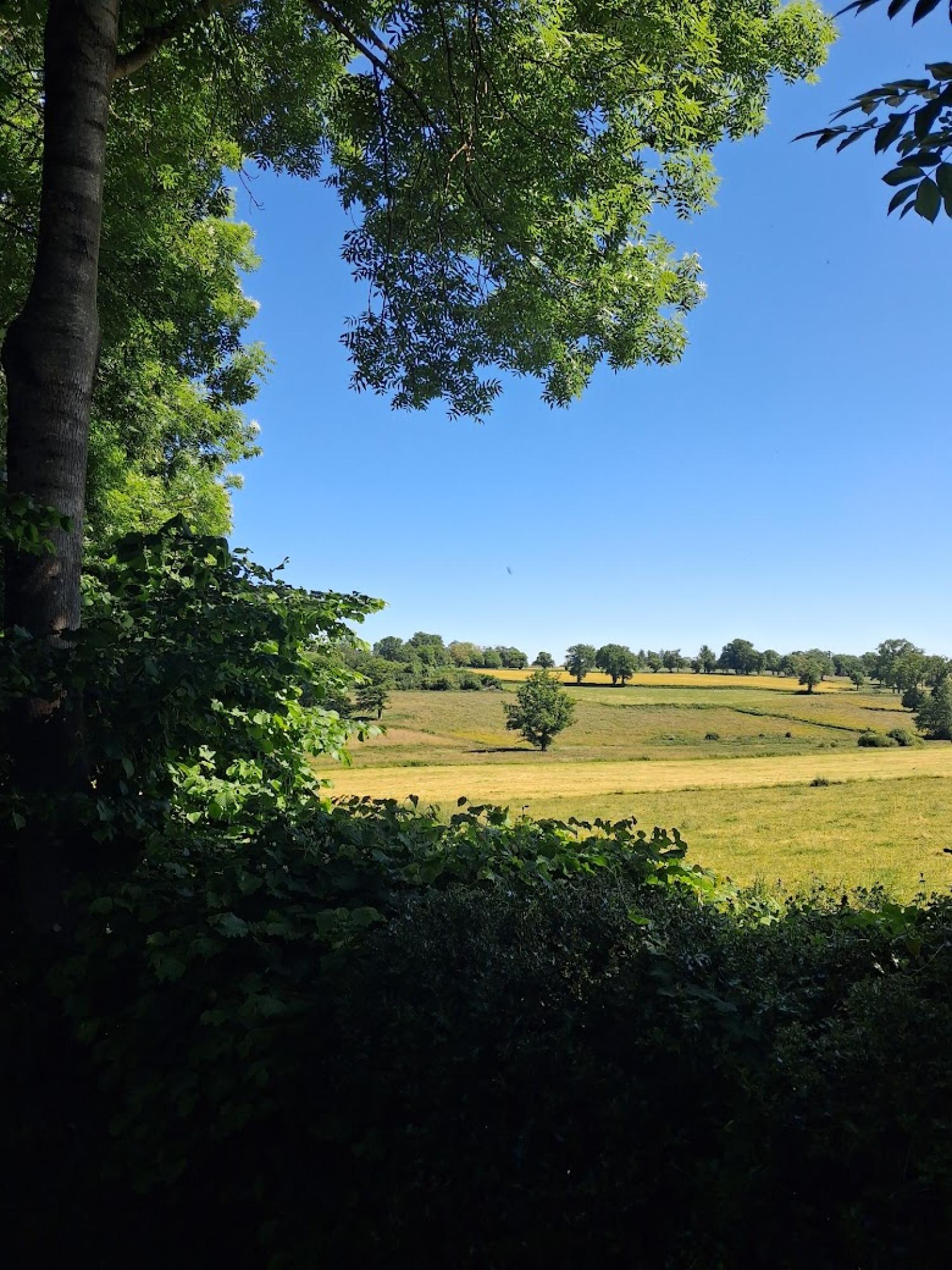  à vendre maison indépendant Préveranges Cher 41