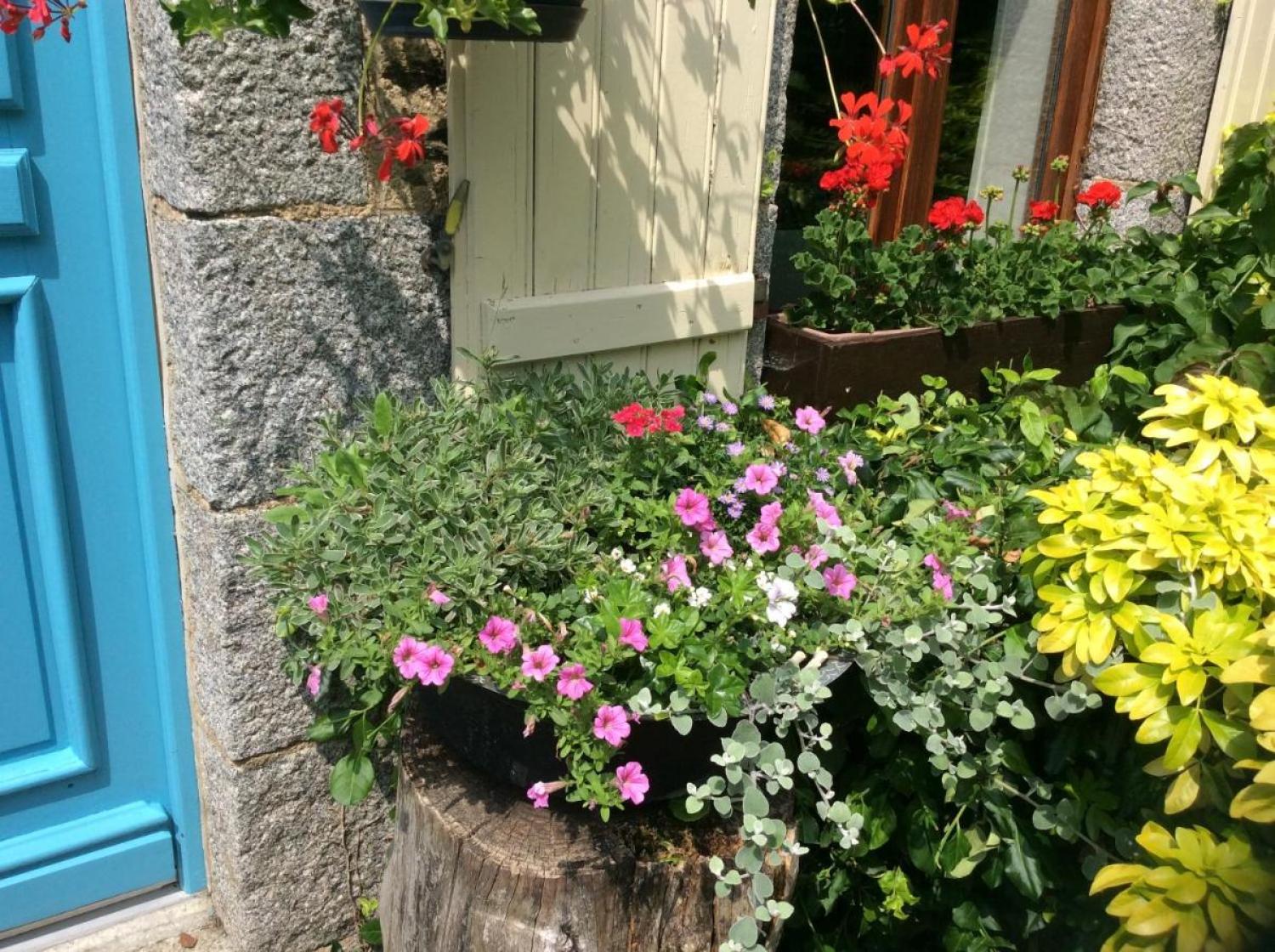  à vendre maison avec gîte Saint-Hilaire-du-Harcouët Manche 13