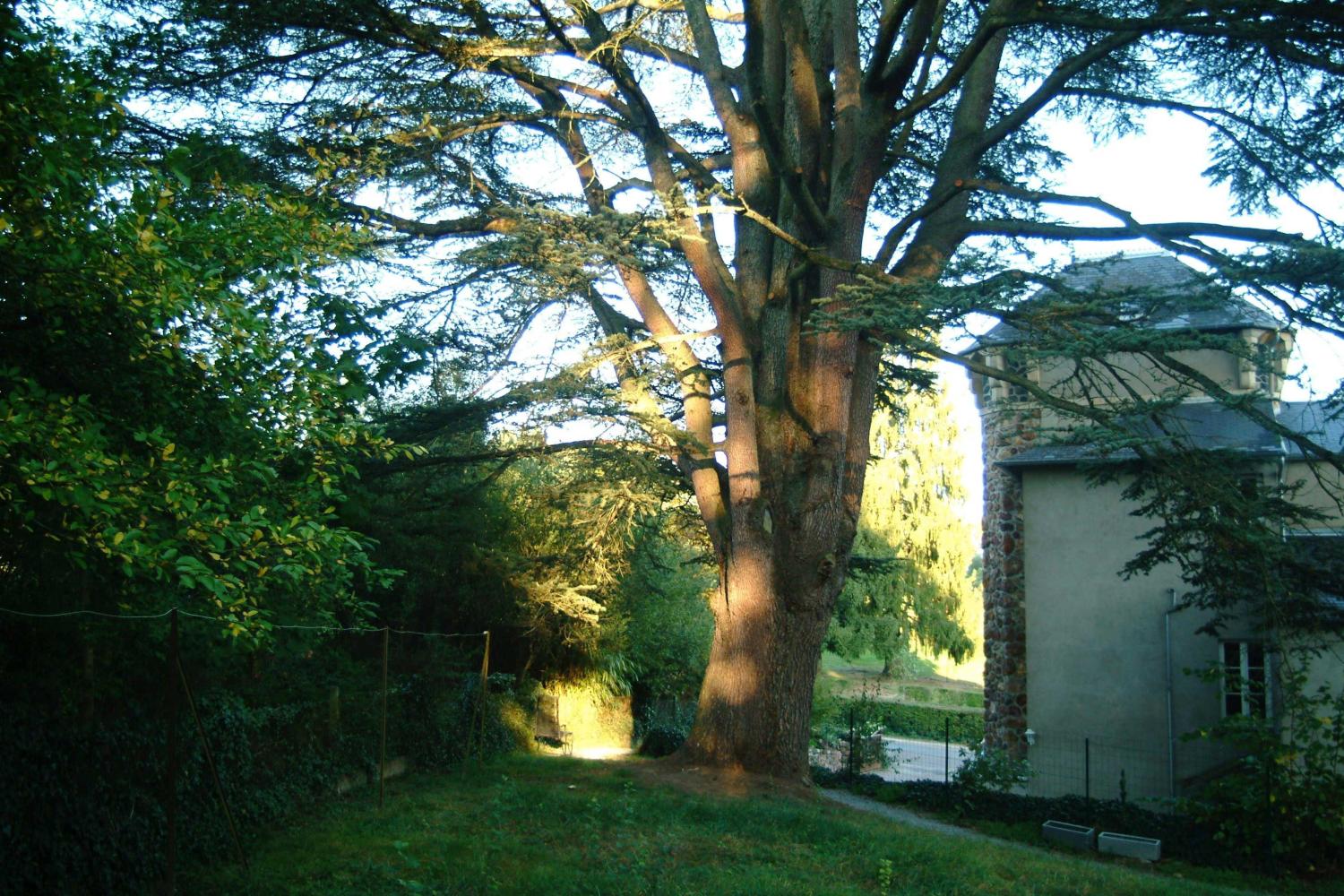  à vendre château Saint-Honoré-Les-Bains Nièvre 9