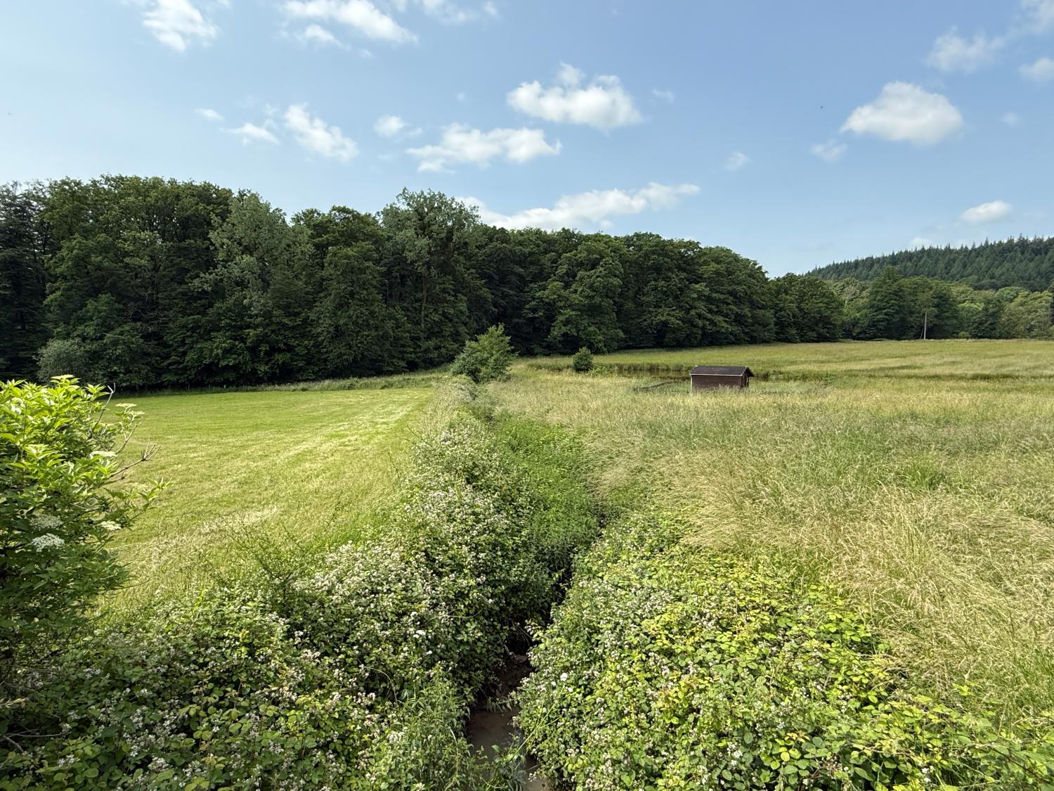  à vendre maison indépendant Hennezel Vosges 52