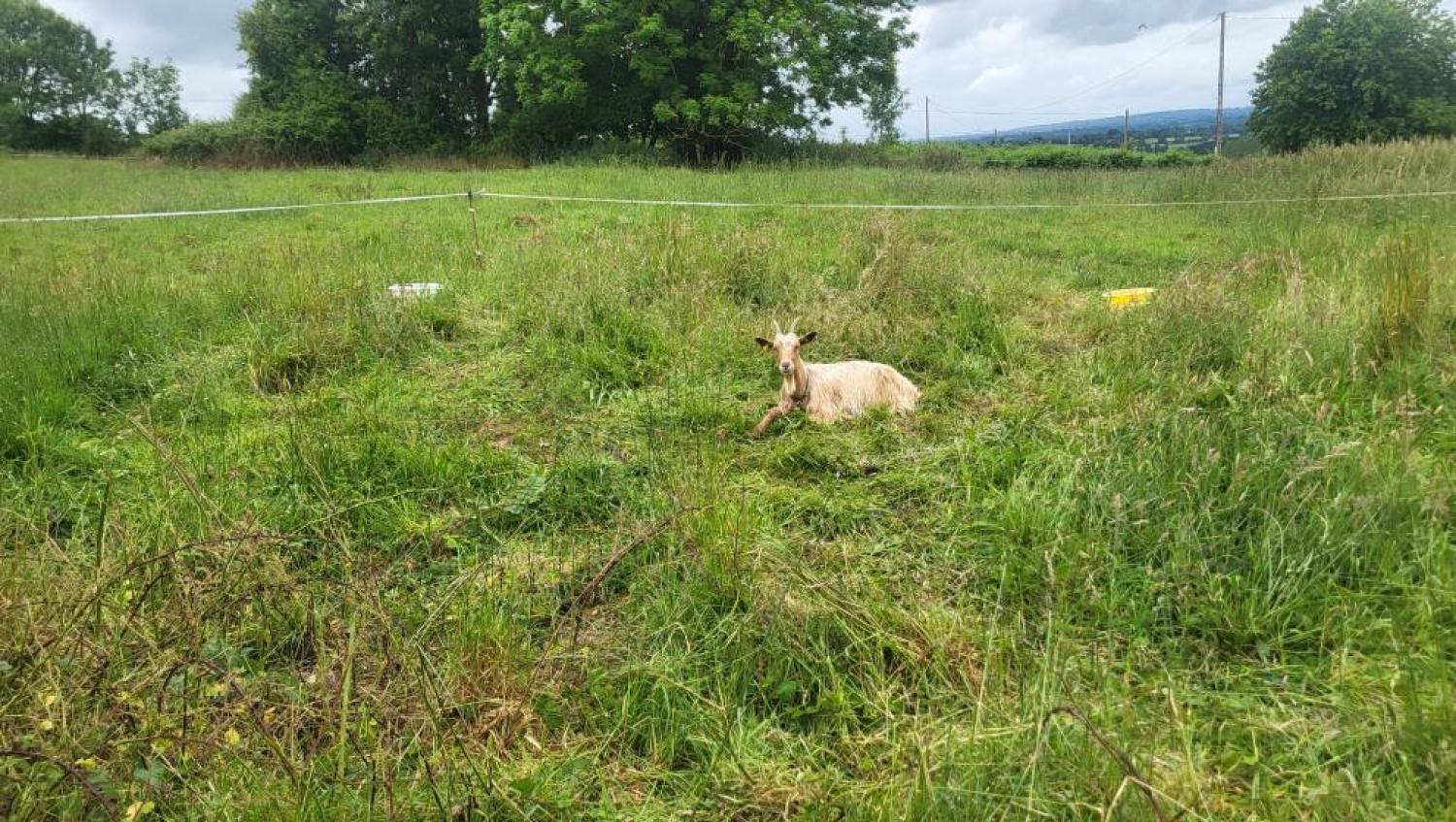  à vendre maison indépendant Tessy-sur-Vire Manche 8
