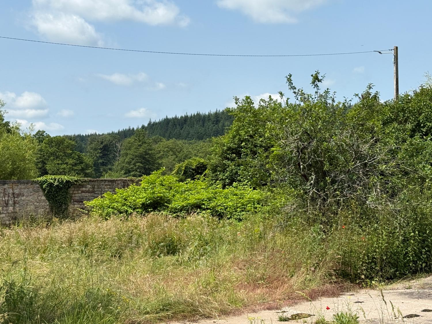  à vendre maison indépendant Hennezel Vosges 46