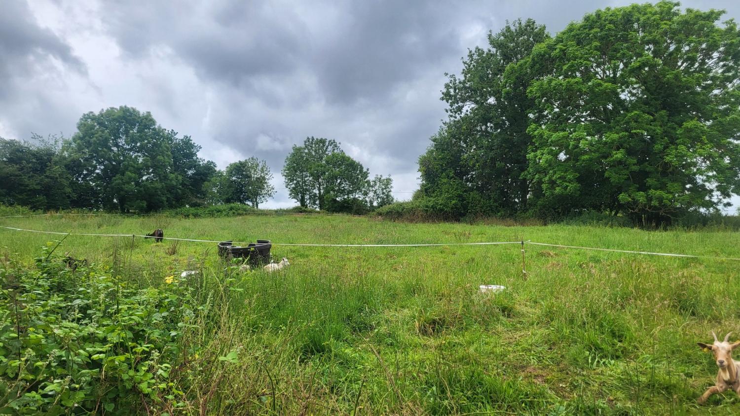  à vendre maison indépendant Tessy-sur-Vire Manche 25