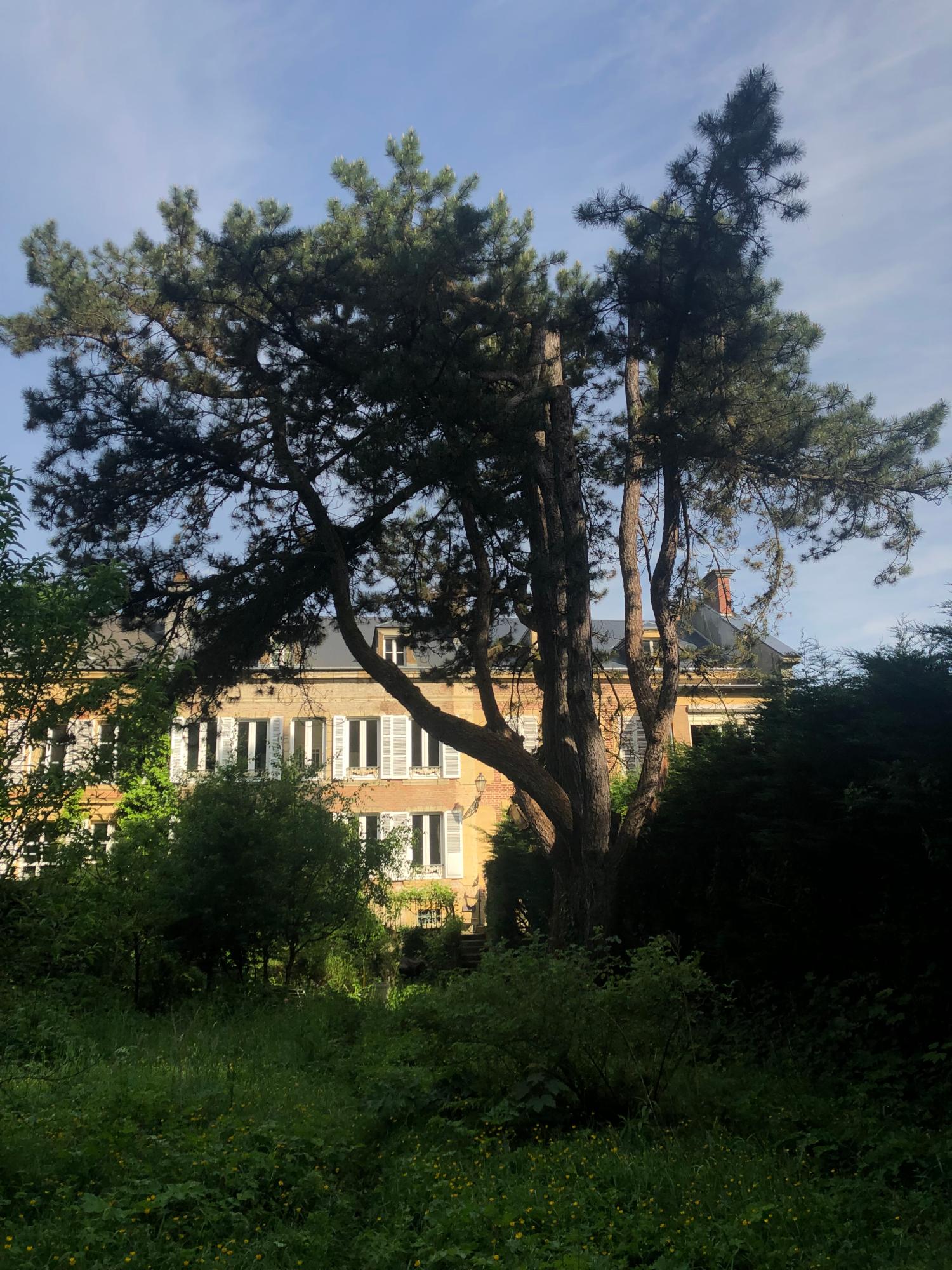  à vendre maison bourgeoise Bogny-Sur-Meuse Ardennes 36
