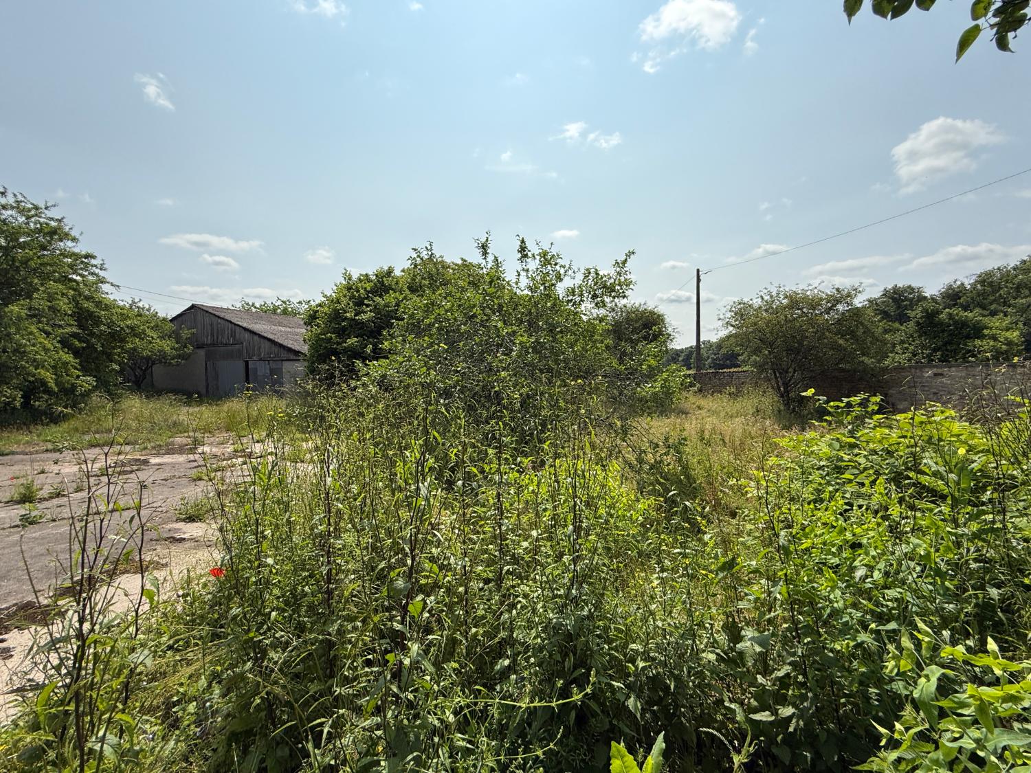  à vendre maison indépendant Hennezel Vosges 43