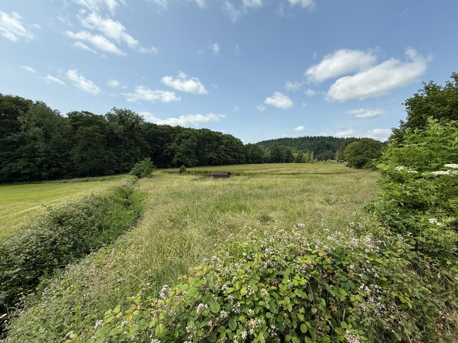  à vendre maison indépendant Hennezel Vosges 53