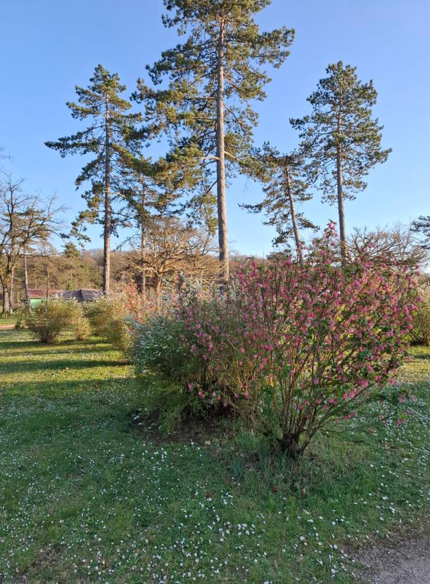  à vendre camping Jaulny Meurthe-et-Moselle 34