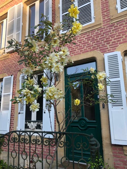 Bogny-Sur-Meuse Ardennes maison bourgeoise foto