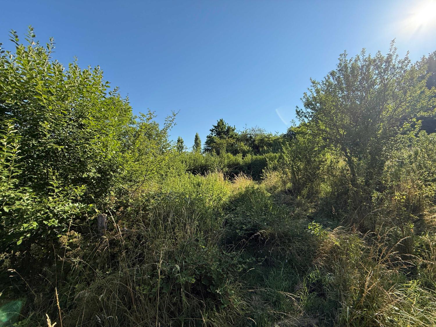  à vendre terrain Bourbonne-les-Bains Haute-Marne 8