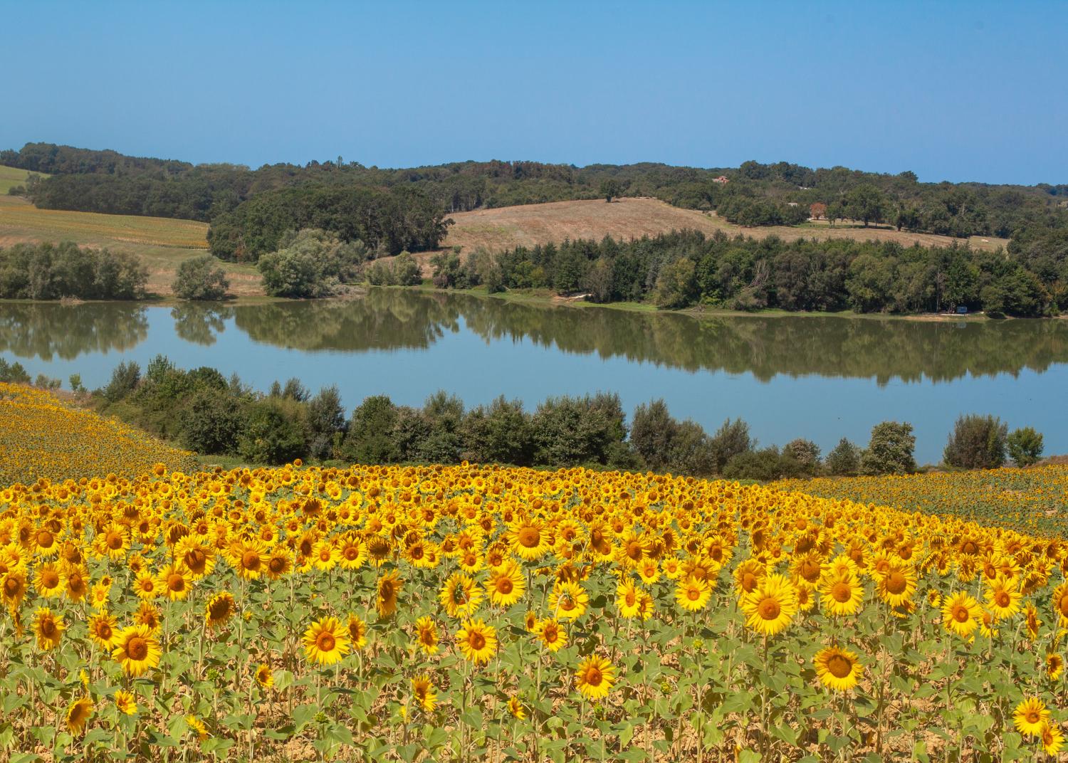  à vendre maison indépendant Castillon-Debats Gers 2