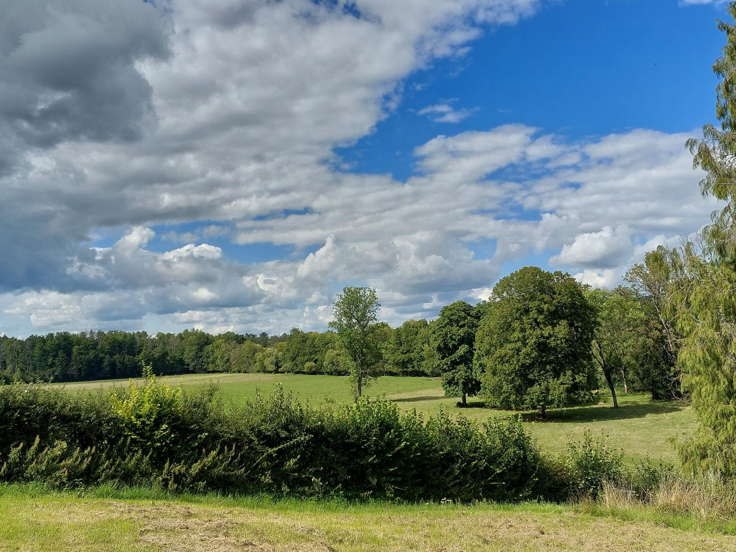  à vendre château Blondefontaine Haute-Saône 8