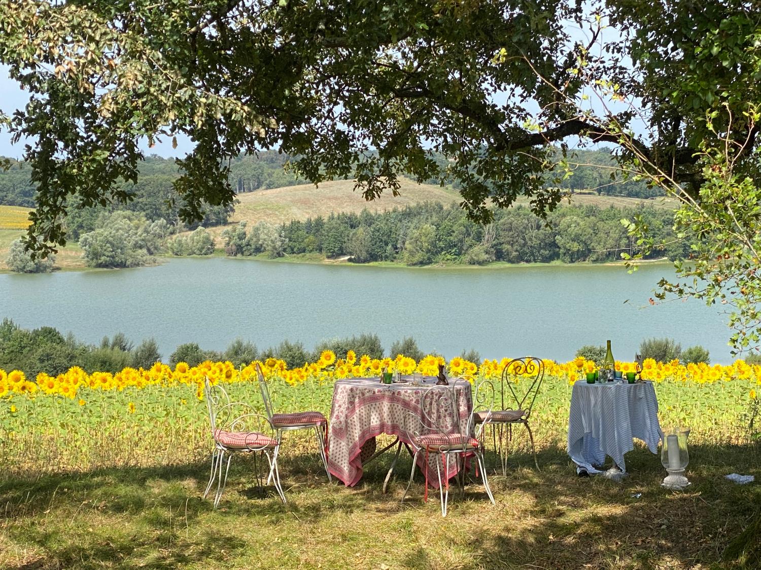  à vendre maison indépendant Castillon-Debats Gers 38