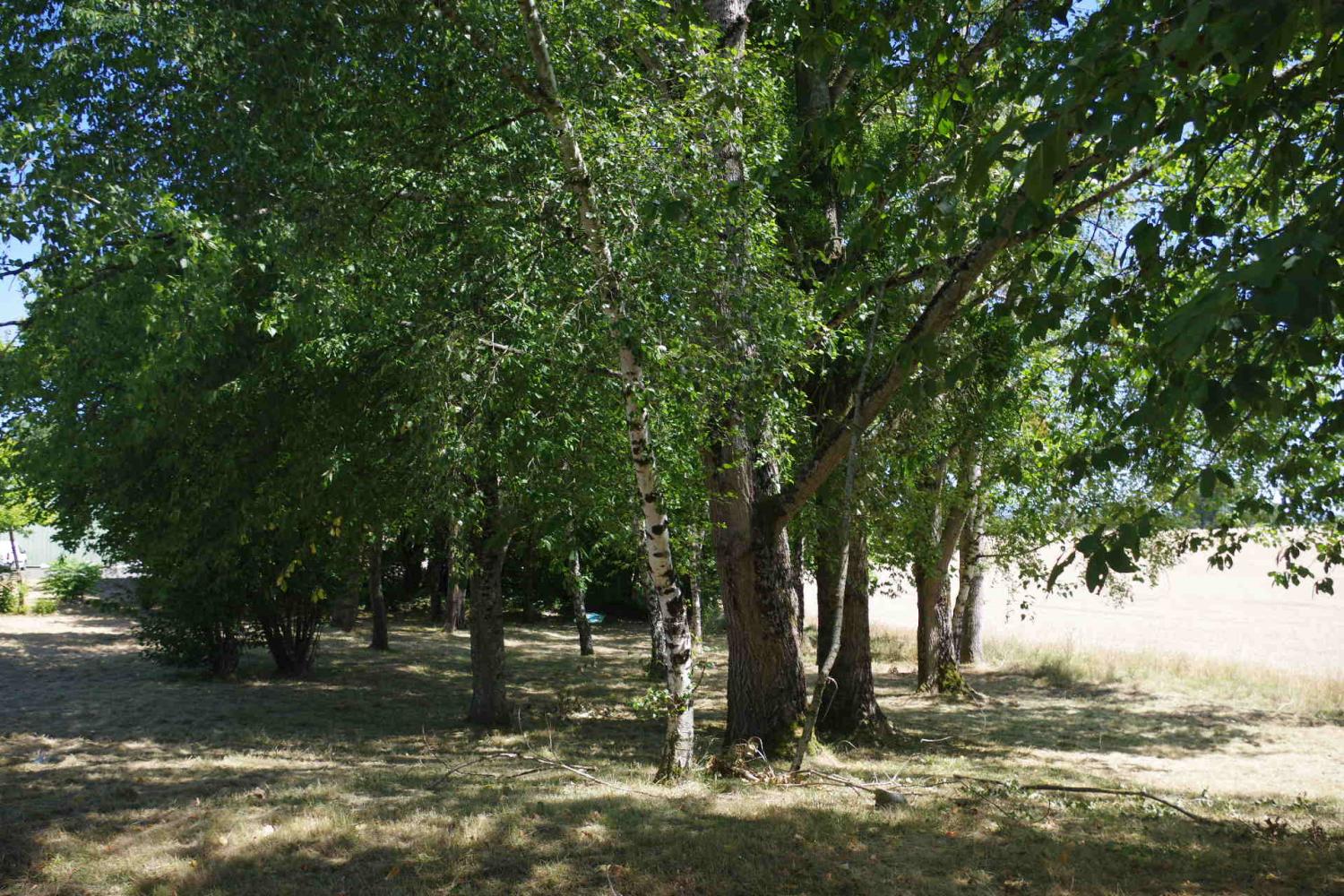  à vendre batiment Alluy Nièvre 9