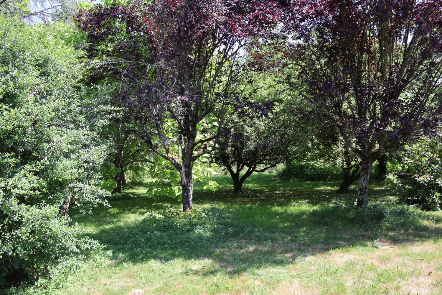  à vendre maison Saint-Didier-sur-Arroux Saône-et-Loire 7