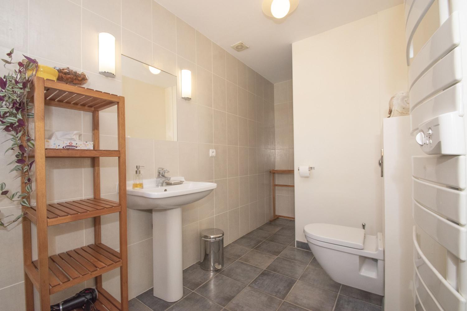  à vendre gîtes/ chambres d'hôtes Castelnau-de-Montmiral Tarn 15