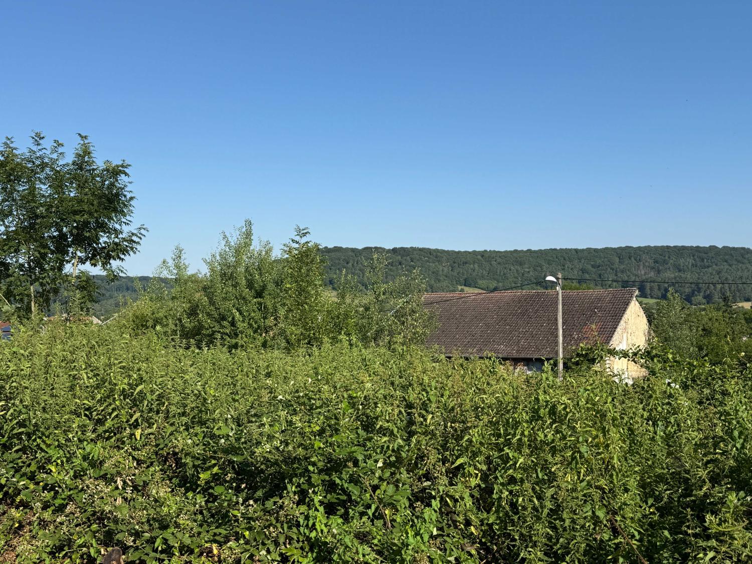  à vendre terrain Bourbonne-les-Bains Haute-Marne 6