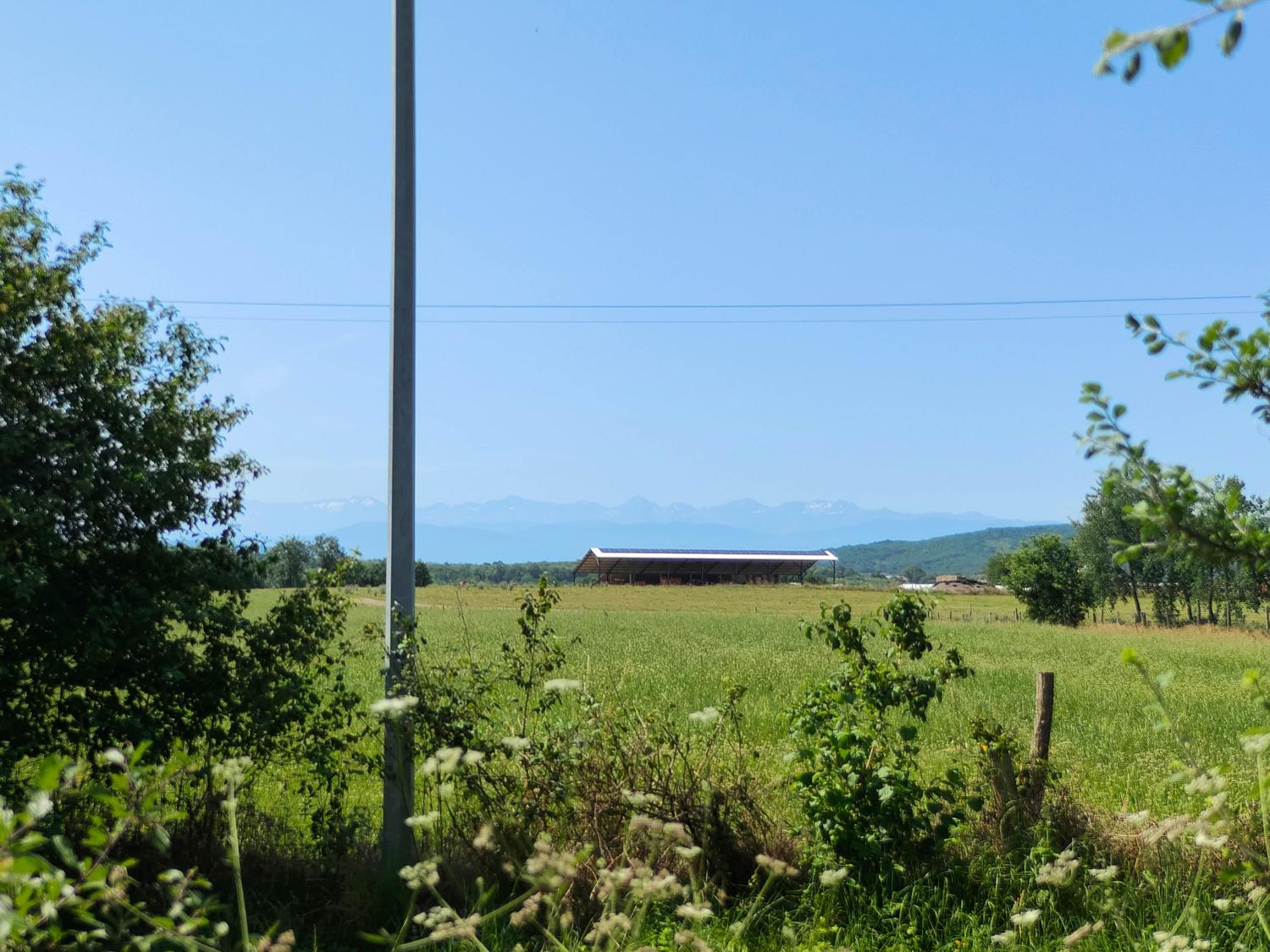  à vendre maison avec gîte Terrebasse Haute-Garonne 57