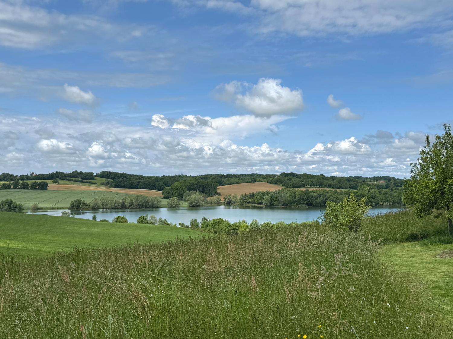  à vendre maison indépendant Castillon-Debats Gers 41