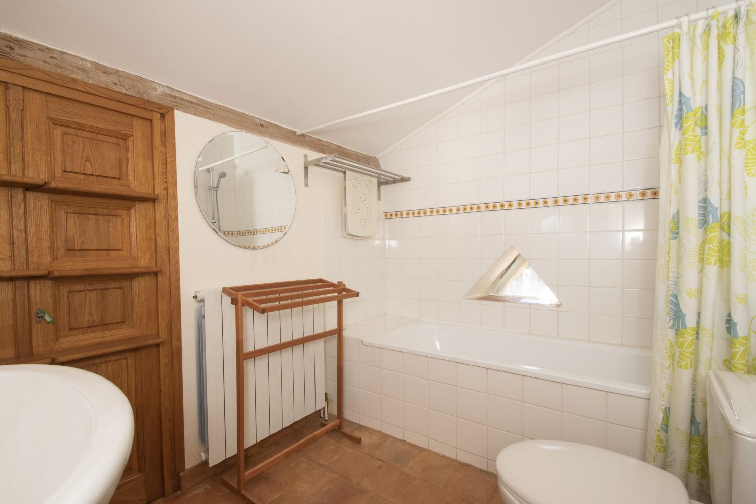  à vendre gîtes/ chambres d'hôtes Castelnau-de-Montmiral Tarn 18
