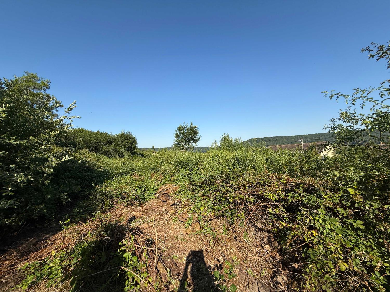  à vendre terrain Bourbonne-les-Bains Haute-Marne 5