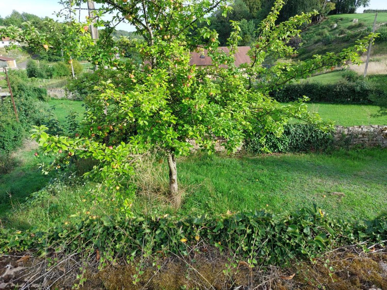  à vendre château Blondefontaine Haute-Saône 45