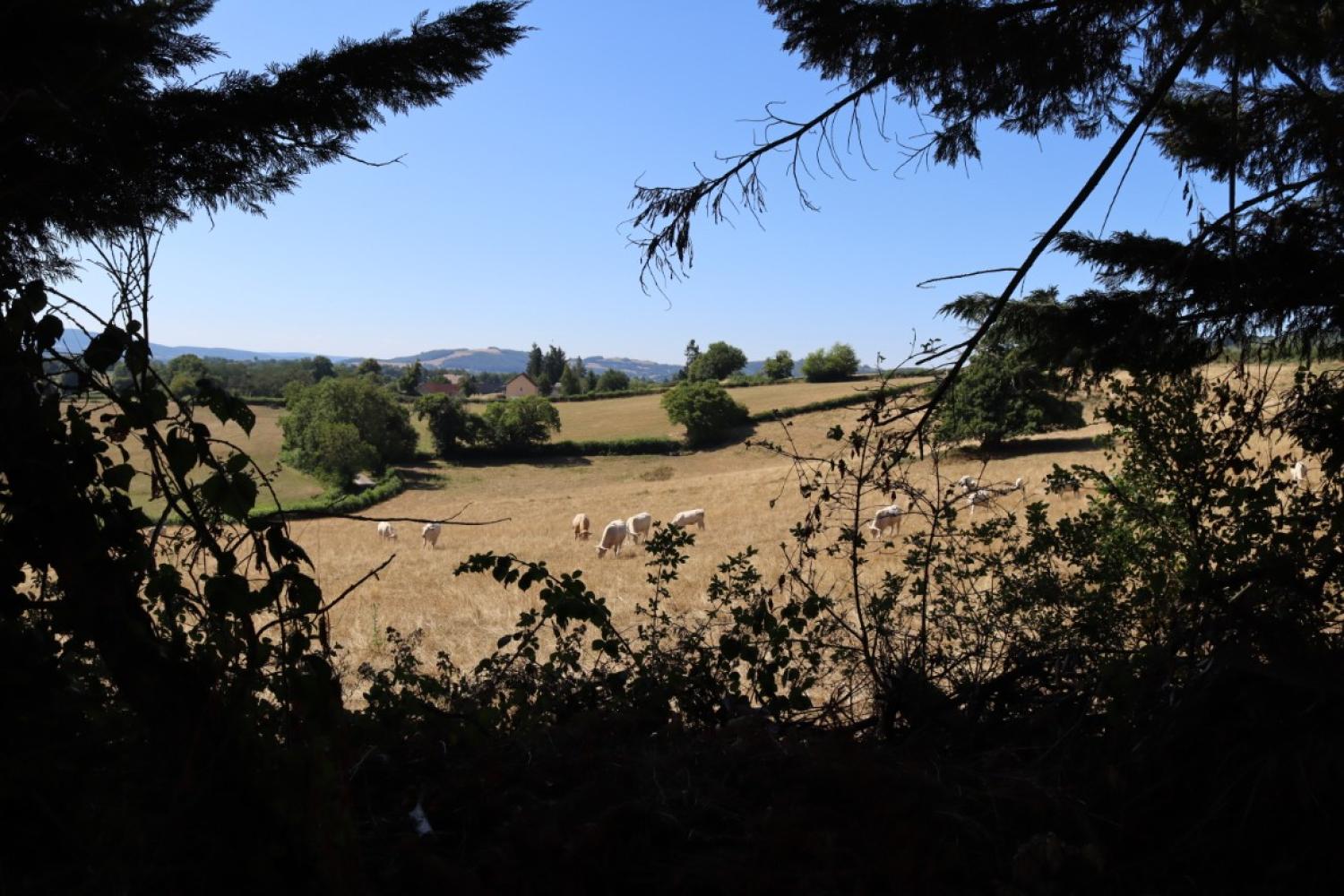  à vendre maison Saint-Didier-sur-Arroux Saône-et-Loire 3