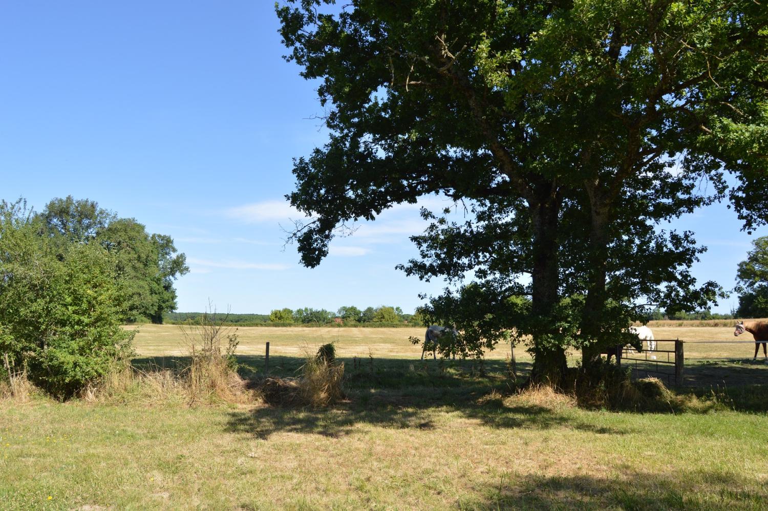  à vendre maison Montigny-sur-Canne Nièvre 8