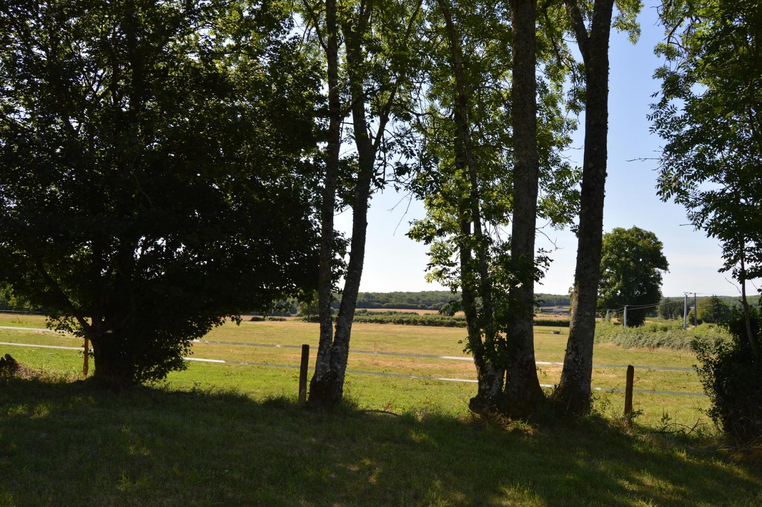  à vendre maison Montigny-sur-Canne Nièvre 7